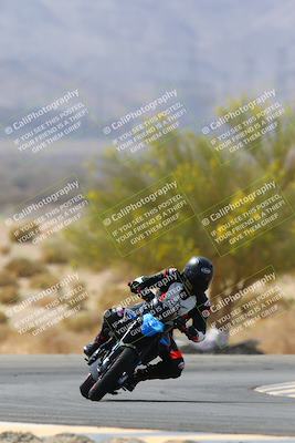 media/Apr-10-2022-SoCal Trackdays (Sun) [[f104b12566]]/Turn 5 Tree of Life (1040am)/